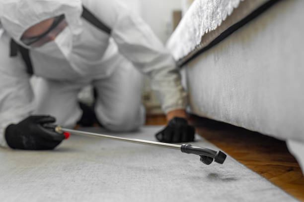 Professional Bed Bug Control technician working in Decherd, TN