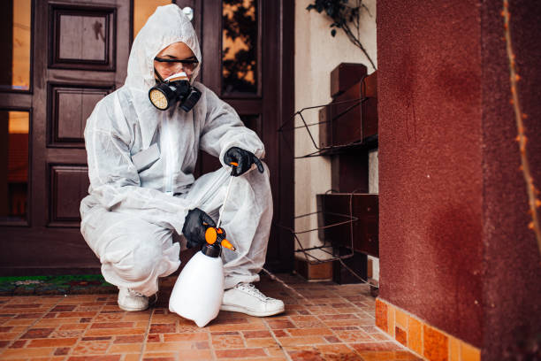 Reliable Bed Bug Control contractor in Decherd, TN by Nex Pest Control